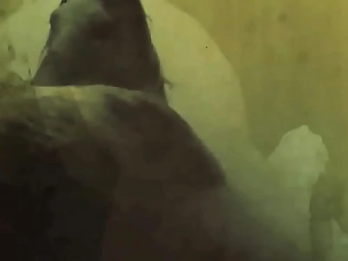 My Secret Life, The World's Greatest Softcore Story, Antique Noiseless Vids