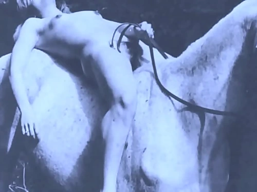 Dark Lantern Refreshment introduces 'Vintage Nature Girls'