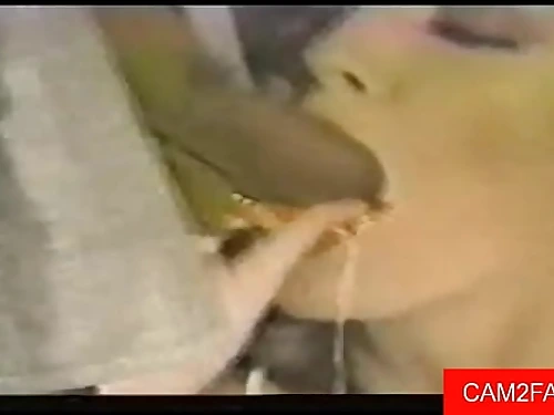 Retro Blowage Internal cumshot Free-for-all Vintage Porno Video