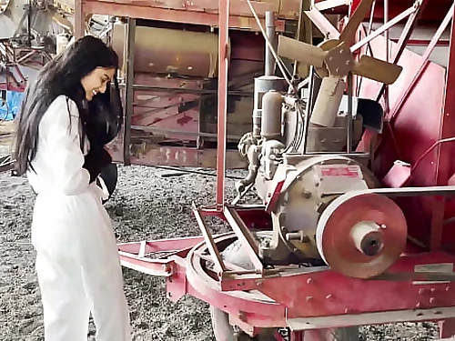 Antique Tractor Mayhem 4K