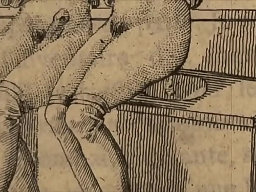 My Secret Life, Top Twenty Antique Illustration